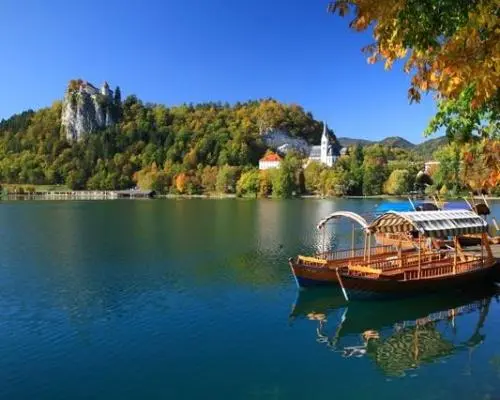 Bled