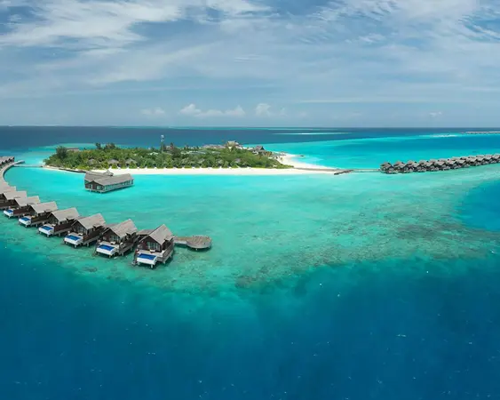 Maldive