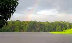 تورتوجويرو