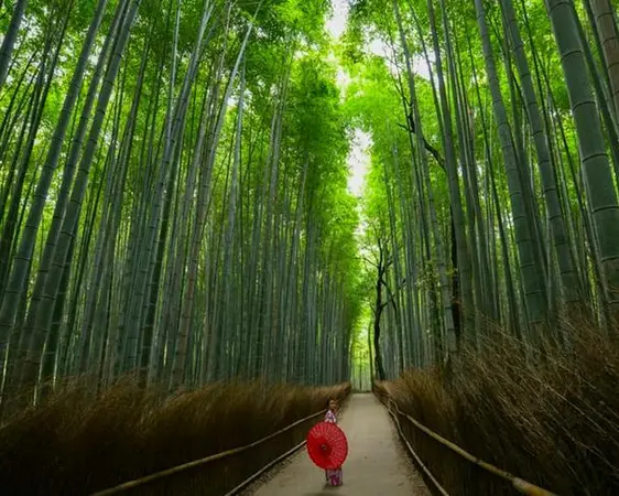 Kyoto