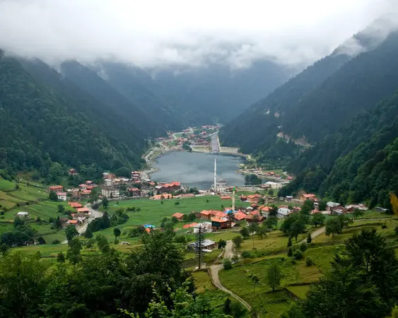 Uzungol