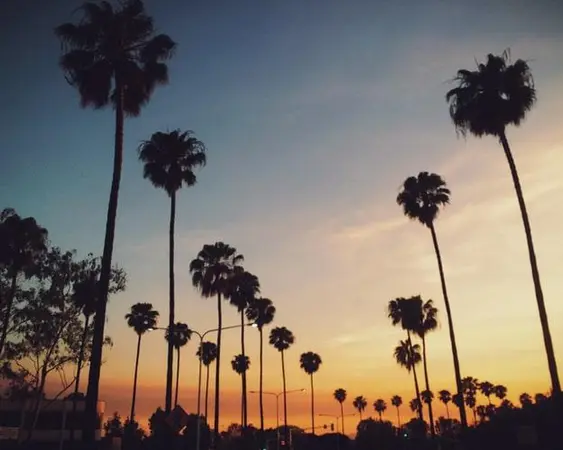 Los Angeles CA