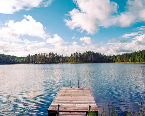 Tyrväntö