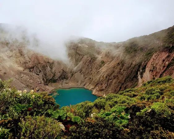 Peñas Blancas