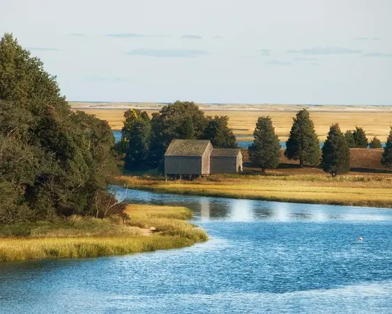 Cape Cod MA