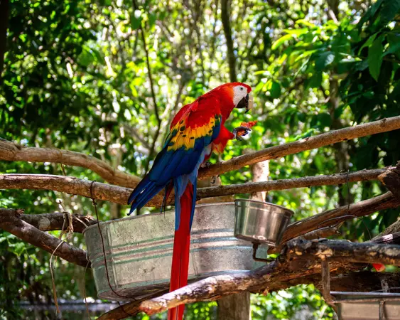 Palenque