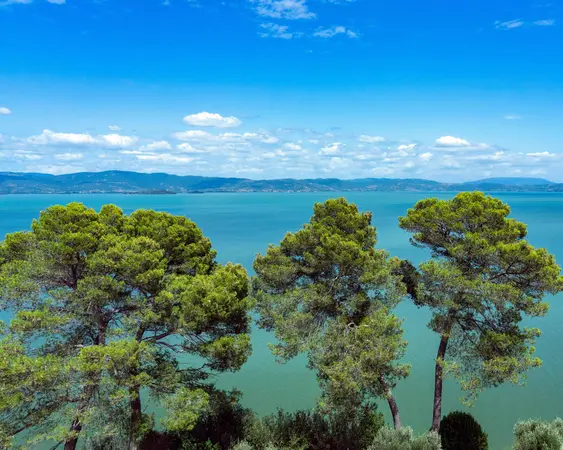 Lake Trasimeno