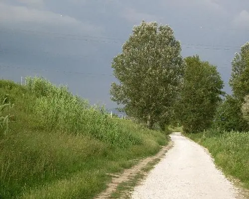 Castelnuovo Berardenga