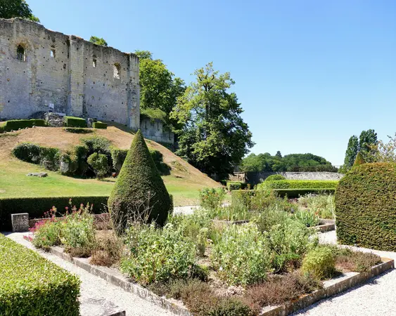 Bezichtiging Château de Langeais