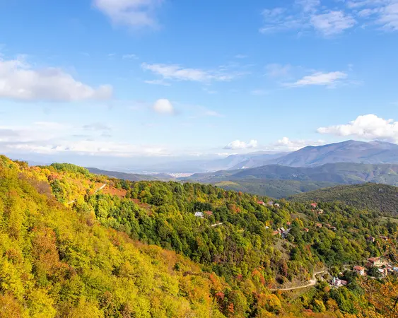 Mavrovo National Park