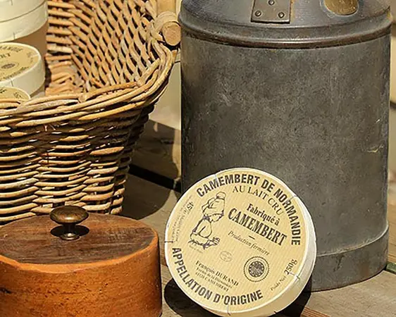 Camembert