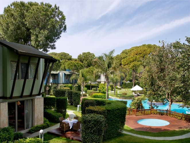 Image - 14N Gloria Verde + 7GF