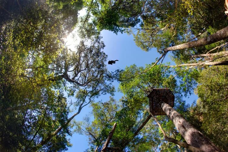 Bilde - Stormsriver Adventures - Tsitsikamma Canopy Tour - Per Person