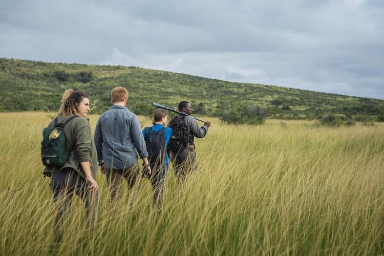 Bilde - Rhino Ridge Safari Lodge - Game Walk