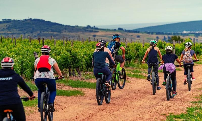 Bilde - Bikes 'n Wines CC - Stellenbosch Winelands Luxury EBike Tour