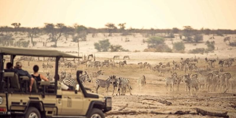 Image - Migration Mission Day Trip (Dep: 06h00)