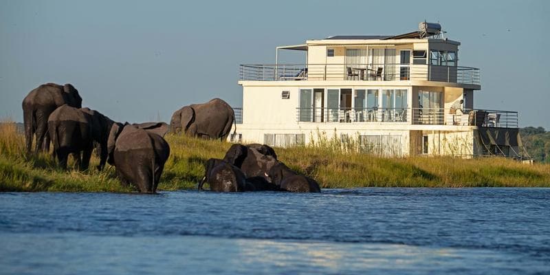 Billede - Chobe Princesses / House Boat - Cabin - Chobe Princesses - 3 Nights