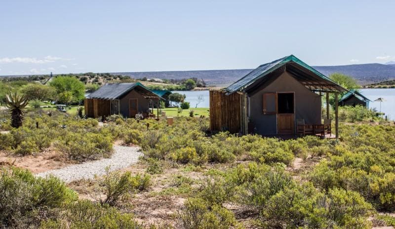 Image - Buffelsdrift Game Lodge - Luxury Waterhole Overnight Package