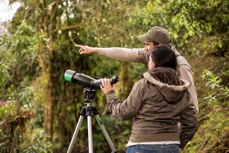 Imatge - Costa Rica Birdwatching (On Request)