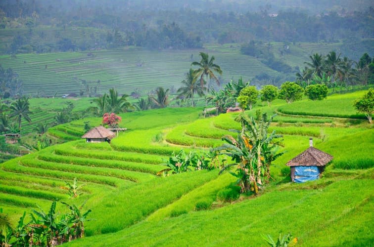 Imagine - Bali & Gili Highlight, Private Tour