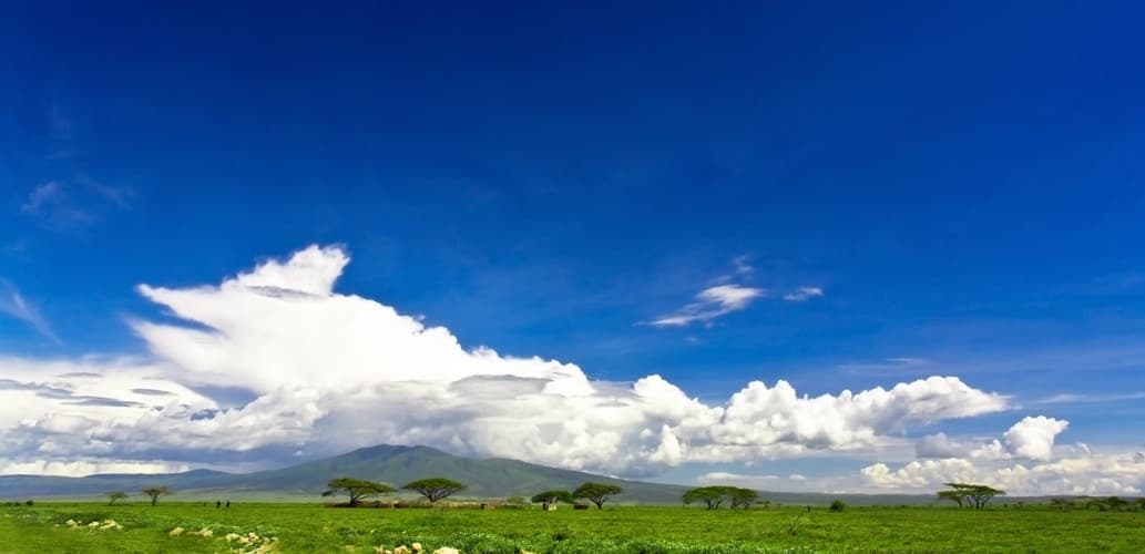 Imatge - Kifaru Safari, Serena Lodges 