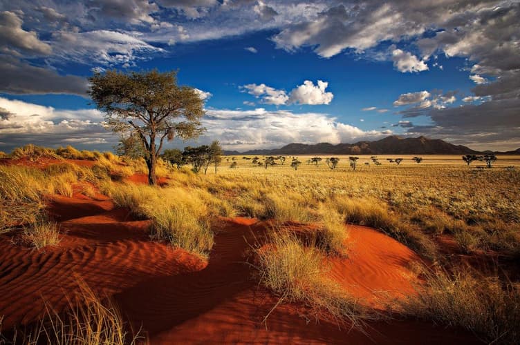 Imagem - Sossusvlei Region Short Break, Private Tour (On Request)
