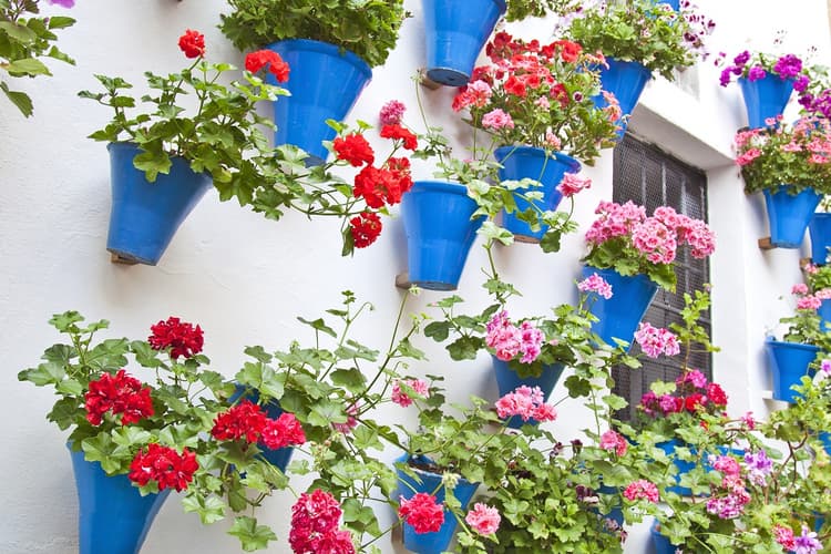 Image - Andalusian Feelings 