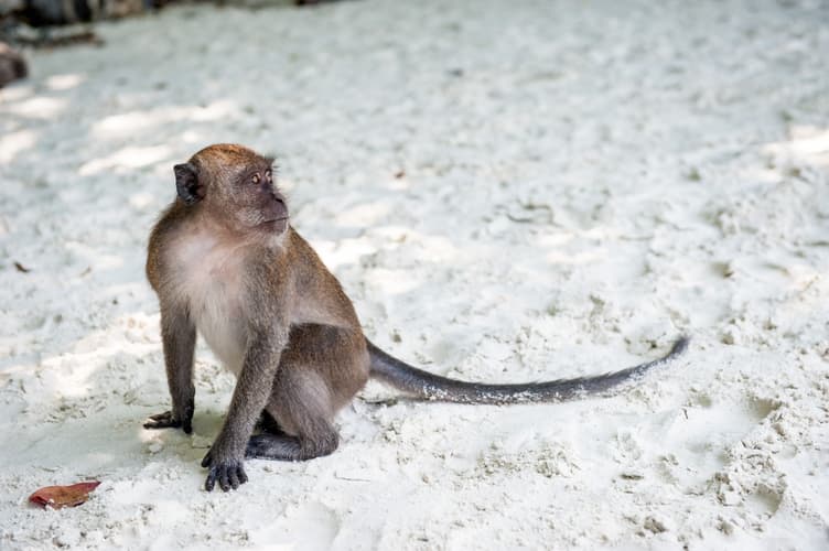 Bild - Island Escape, 12 Days (Option 2)