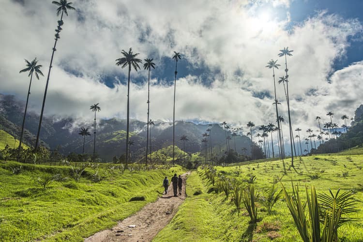 Imagem - 6-Day Medellin & Pereira Coffee Region Experience, Private Tour