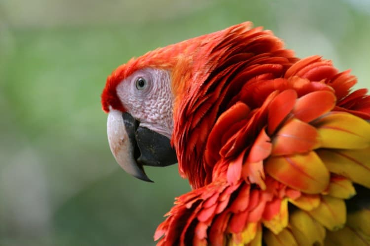 Image - Romantic Adventure in Costa Rica, Self-Drive (On Request)