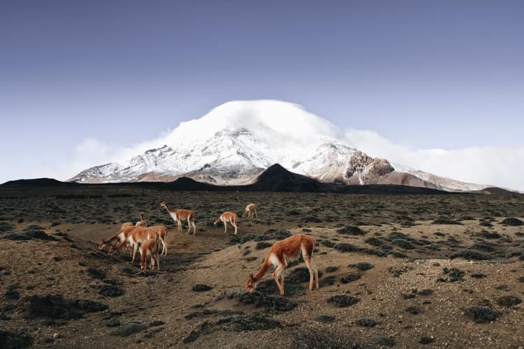 Образ - 8-Day Ecuadorian Andes & Coastal Escape: Cotopaxi, Quilotoa, Baños, Chimborazo, Ingapirca, Cajas & Guayaquil, Private Tour