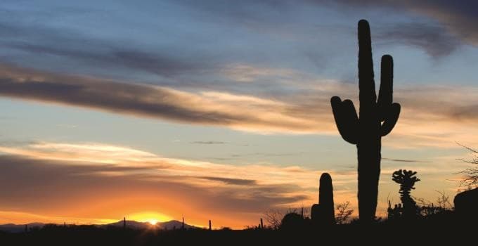 Immagine - Western Discovery Express 