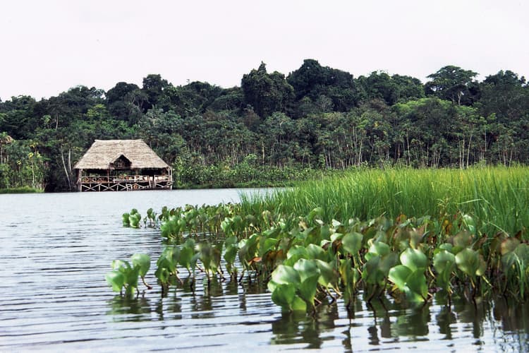 Image - Ecuador Amazzonia e Vulcani