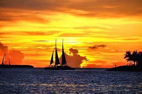 Bild - Florida Sunshine