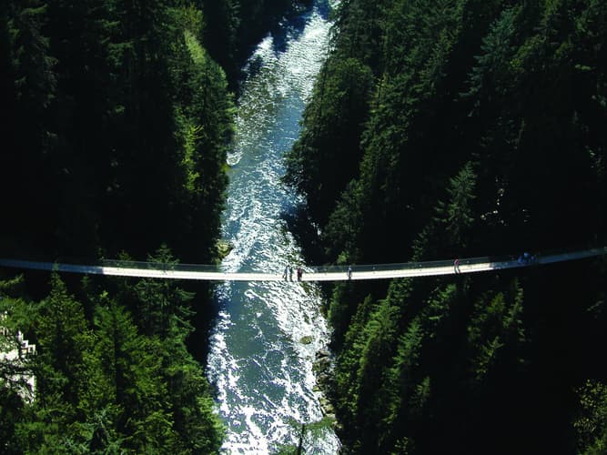 Immagine - Selvaggio West