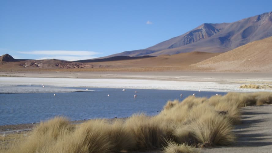 Bild - Bolivia Lagune