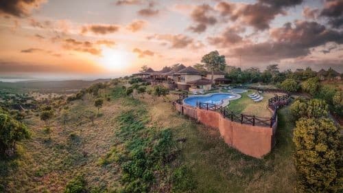 Obraz - Safari Kongoni Classic