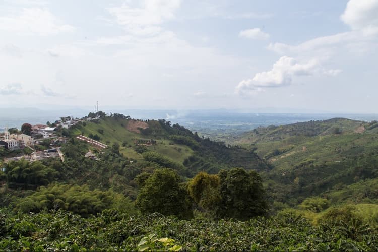 圖像 - Bogota and Coffee Region 5 nights