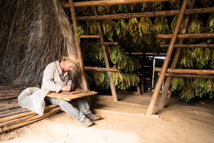 Kép - Cuba Tradicional