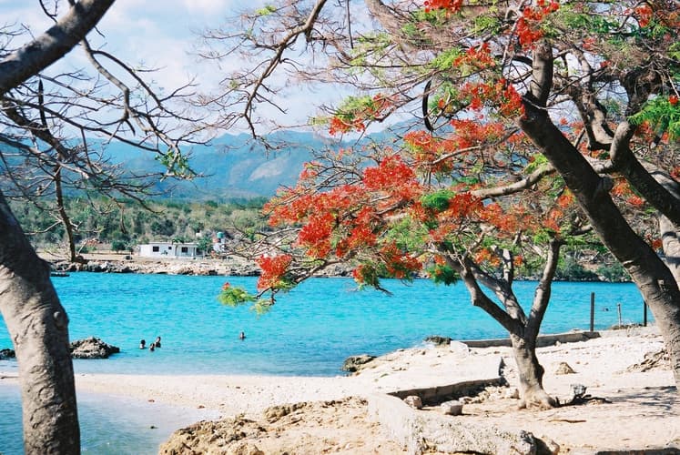 Imagen - Cuba Linda with Casa Particulares