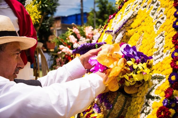Imagem - Bogota, Coffee and Flowers