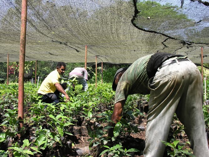 Образ - Highlights Dominican Republic