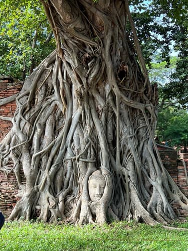 Imagen - 7 Days Thailand’s Cultural Treasures