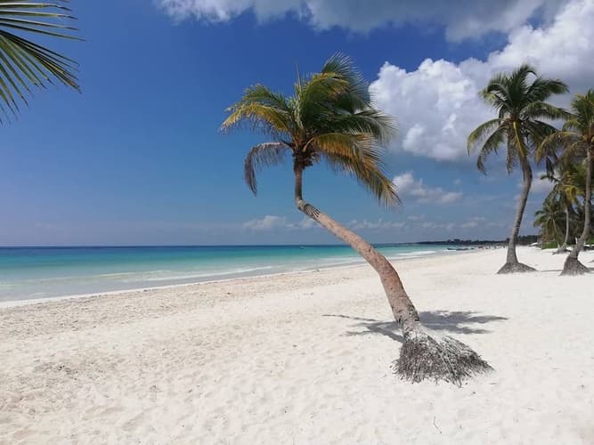 Bild - Yucatan e Mare