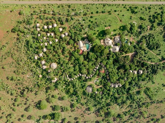 Obraz - Safari Pamoja