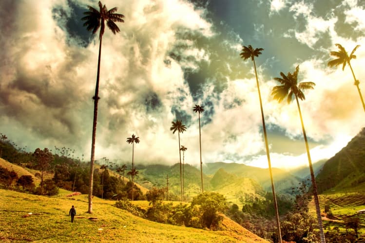 Şəkil - Colombia Classica