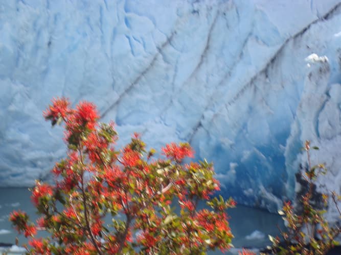 Image - Il Meglio dell'Argentina - Gran Tour