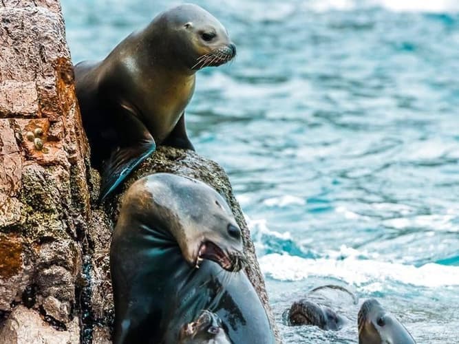 תמונה - Perú Esencial Místico (Pre Nazca + Perú Esencial)