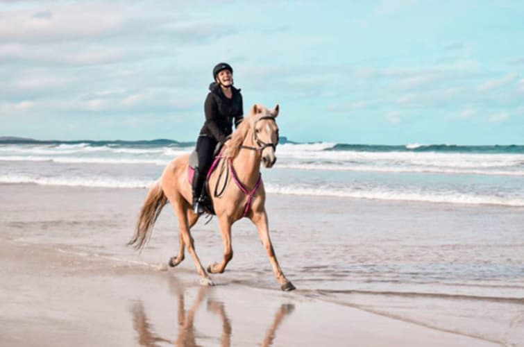 Image - Australia: New South wales - The Comboyne plateau