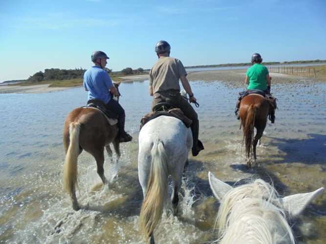 Immagine - Francia: Provenza/Camargue - La cavalcata del mediterraneo